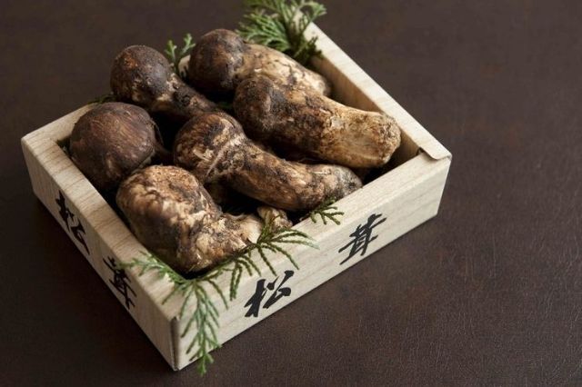 日本料理吃腻了?那就来解锁这8家西餐料理吧!