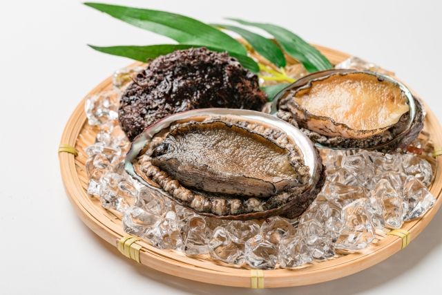 1. 鲍鱼