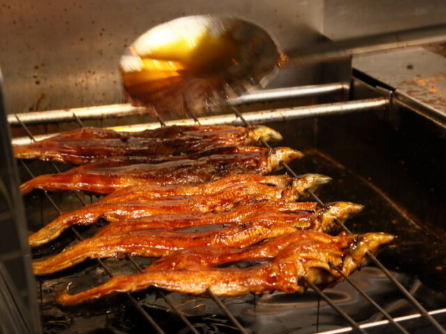 Unagi-Jinta cuisine