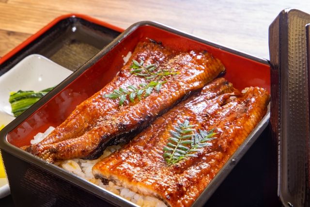 日本盛夏8月的美食指南