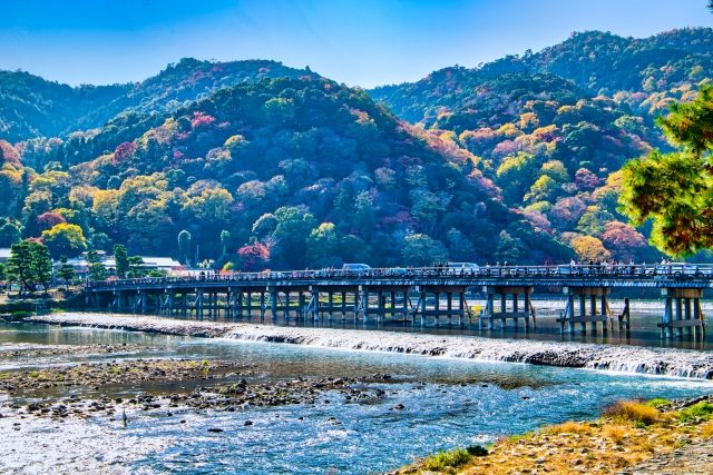 京都府