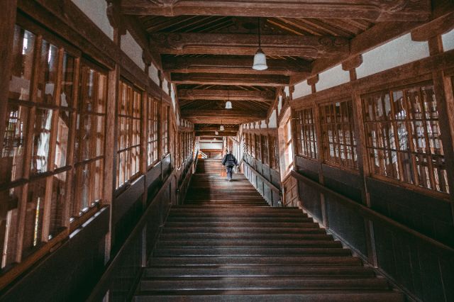 Discover the ingredients of wellness in Fukui