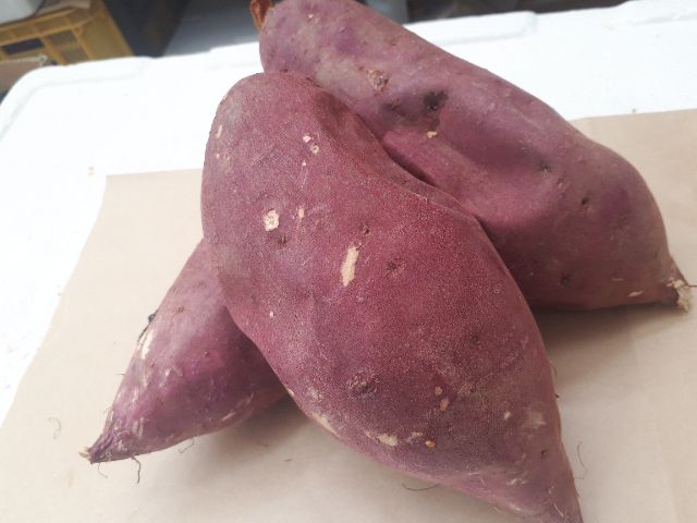 快来自然资源丰富的福井县品尝当地美味吧!