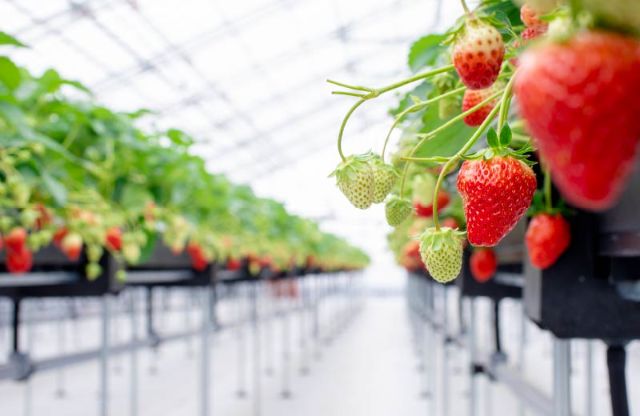 快來自然資源豐富的福井縣品嘗當地美味吧!