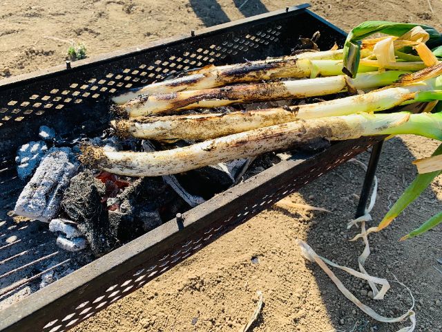 埼玉县熊谷市丨食材多样,体验美味