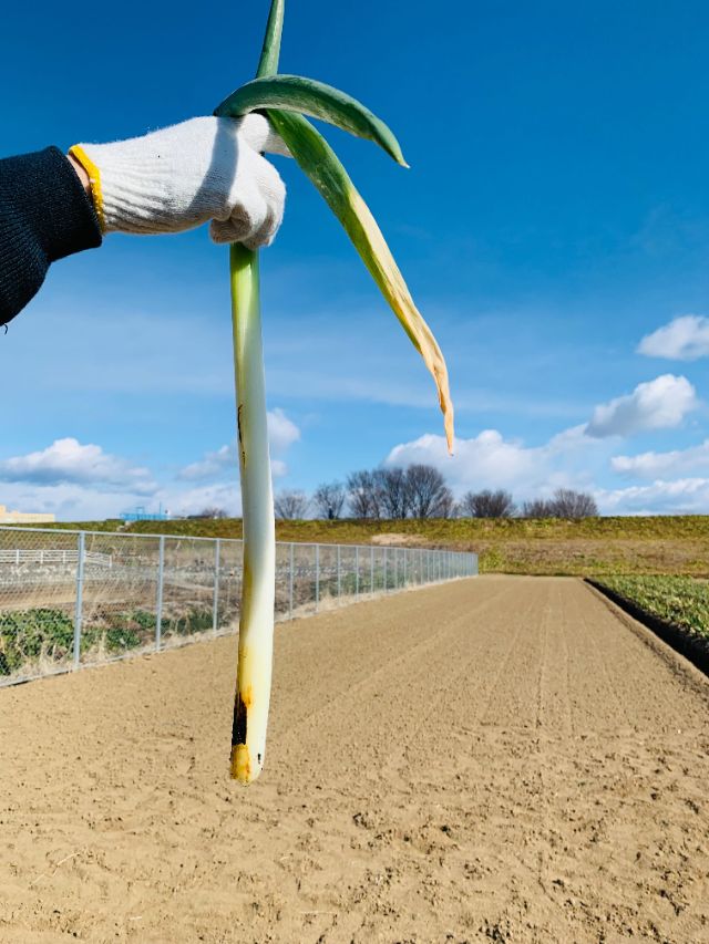 埼玉縣熊谷市丨食材多樣，體驗美味