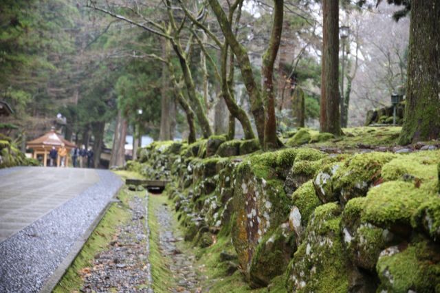 身心放鬆之旅-大自然眷顧的福井縣- 