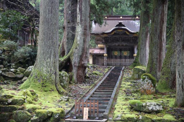 身心放鬆之旅-大自然眷顧的福井縣- 