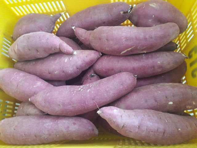 Fukumusume | Sweet Potato Like Desserts