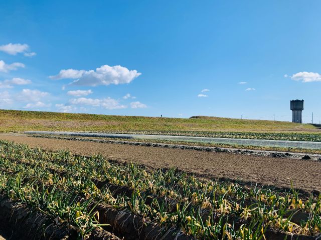 Endō Farm | Enjoy the Traditional Japanese Umami of Green Onion