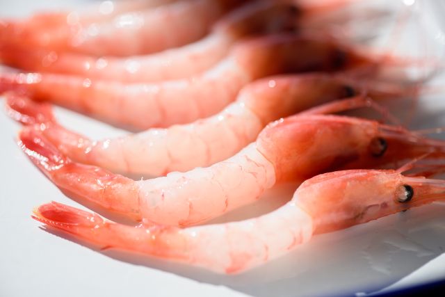 Voyage for [Fukui Amaebi], the Future of Fishermen | Part 1