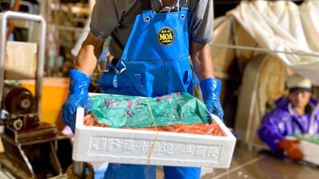 Voyage for [Fukui Amaebi], the Future of Fishermen | Part 1