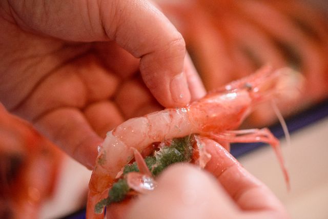 Voyage for [Fukui Amaebi], the Future of Fishermen | Part 2