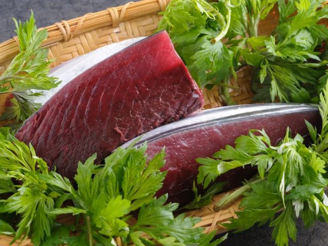 日本的初夏美味,8家餐厅任君选!