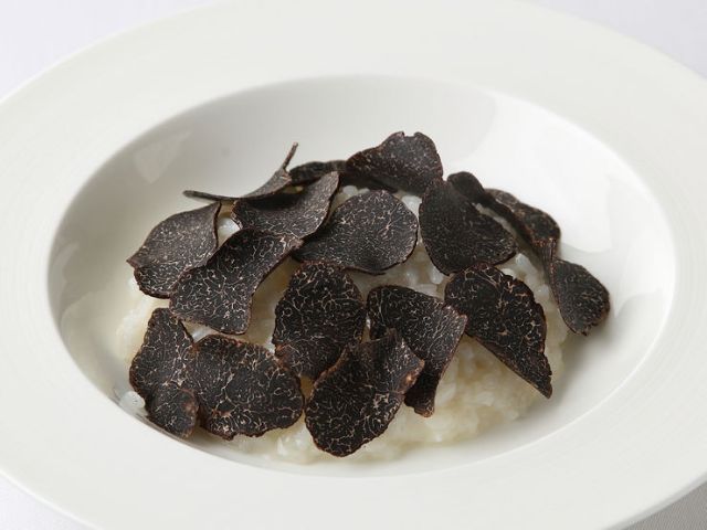 日本的初夏美味,8家餐厅任君选!