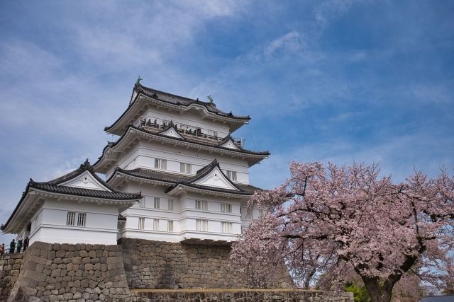 編輯部推薦的“箱根小田原美食觀光之旅” 