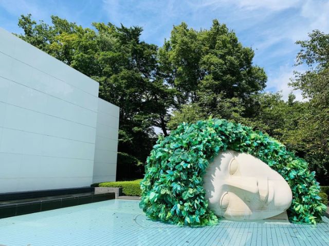 漫步日本箱根，體驗藝術與美味之旅