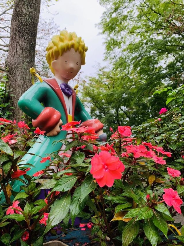 漫步日本箱根，體驗藝術與美味之旅