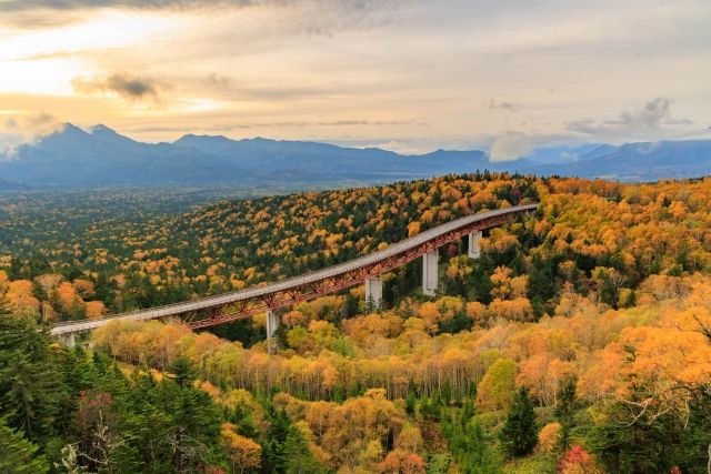 北海道 · 東北地區