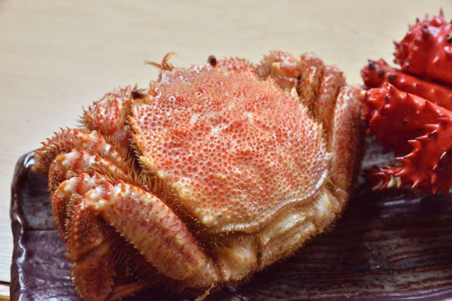 冬日北海道的美食之旅