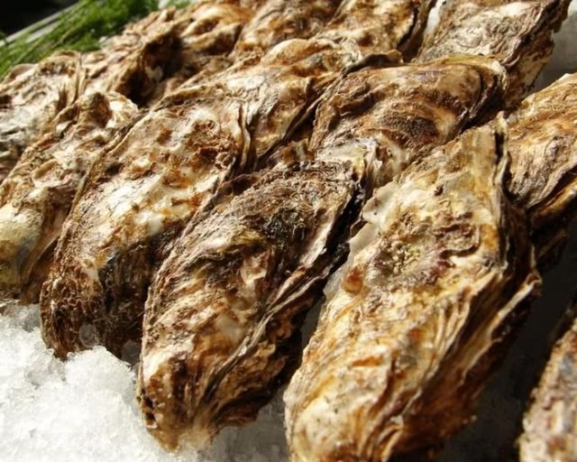 5.海鮮炭火燒 二代目 圭