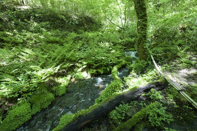 日本人心中的高級料理！日本鐵板燒介紹