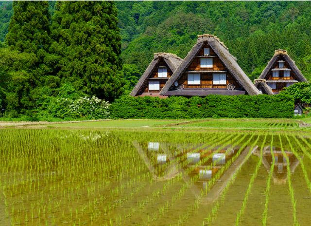 The elements make Tokyo the city with the most stars in the Michelin Guide and the world's top gastronomic city
