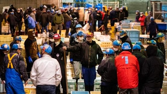 Travel to taste the exceptionally fresh 'Machi-Zushi' (Town Sushi) inHimi, one of Japan's leading fishing towns