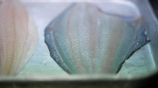 Travel to taste the exceptionally fresh 'Machi-Zushi' (Town Sushi) inHimi, one of Japan's leading fishing towns