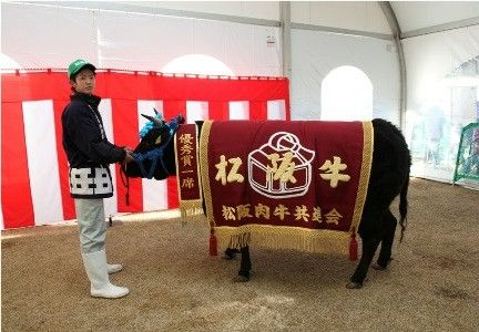 What is Matsusaka-gyu?