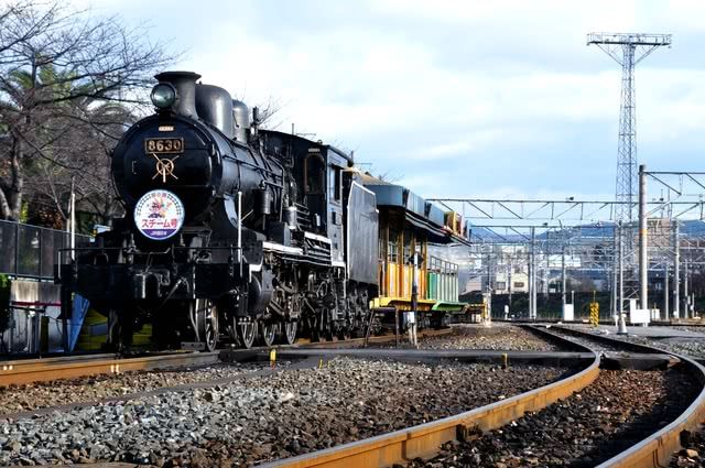 最適合帶家人去！梅小路公園