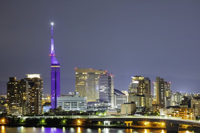 Mizutaki or Motsunabe? Which Local Delicacy Is Your Go-To When in Fukuoka?