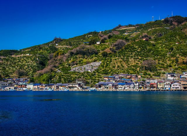 被認為是乘坐渡輪到達的「八幡浜港」位於愛媛縣。