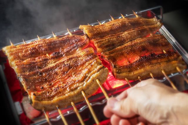 日本的鰻魚料理代表