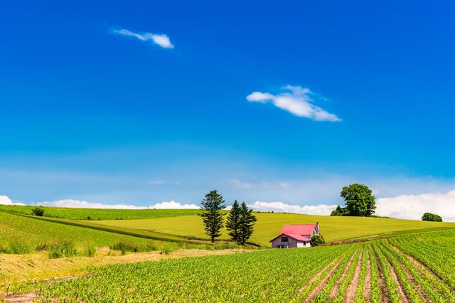 富良野7月的氣溫和氣候如何？