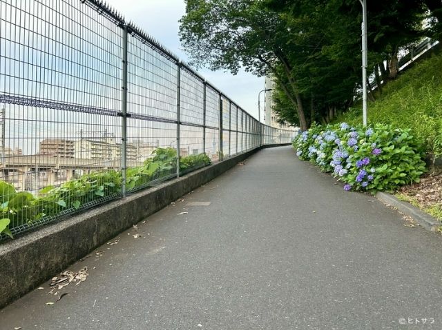 去《天气之子》圣地朝圣时想顺便去的东京美味餐厅｜动漫朝圣美食