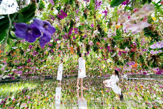 Immerse Yourself in the Enchanting World of teamLab Planets TOKYO DMM - Where Digital Art Blends Seamlessly With Water and Flowers!