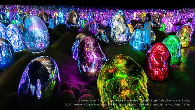 Immerse Yourself in the Enchanting World of teamLab Planets TOKYO DMM - Where Digital Art Blends Seamlessly With Water and Flowers!