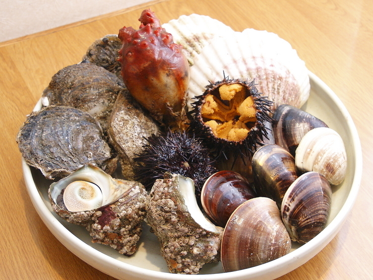 世界最大海產市場－築地市場的15間絕品壽司店