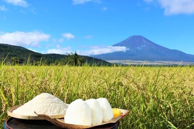 吃遍日本秋季！當季好滋味