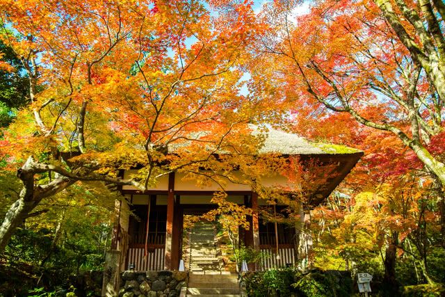 嵐山推薦的楓葉景點：常寂光寺