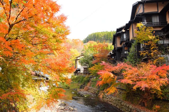 Kurokawa Onsen: Where Hot Springs and Autumn Beauty Align