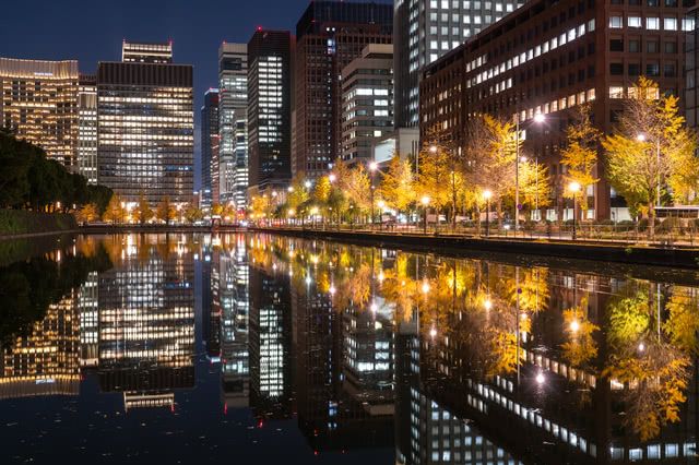 秋天必看!金光閃閃的銀杏大道絕景秋天必看!金光閃閃的銀杏大道絕景