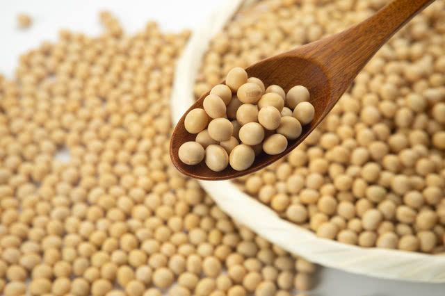 Recommended for Vegetarians! What Is Yuba Made From?