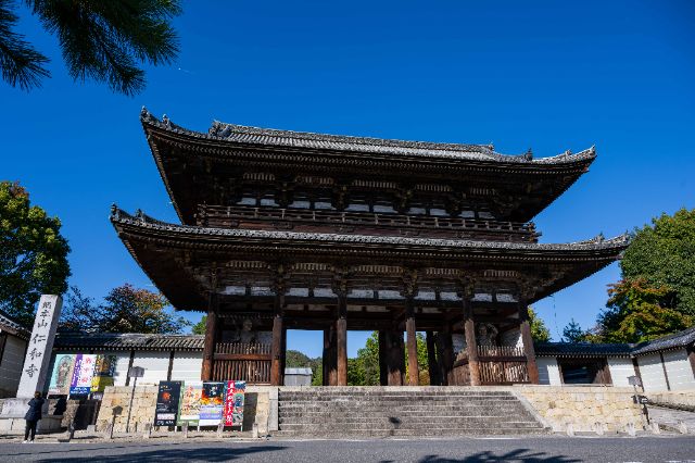 Enjoying a special experience at the world heritage site Ninnaji Temple