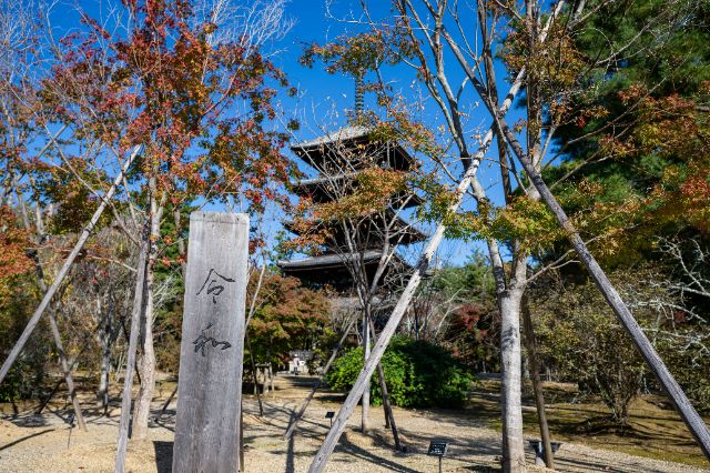 在名列世界遺產和國寶的神社佛閣,享受特別體驗