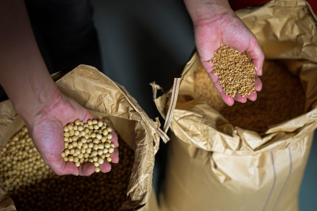 感受日本飲食文化的原點──奈良最古老的醬油廠住宿之旅