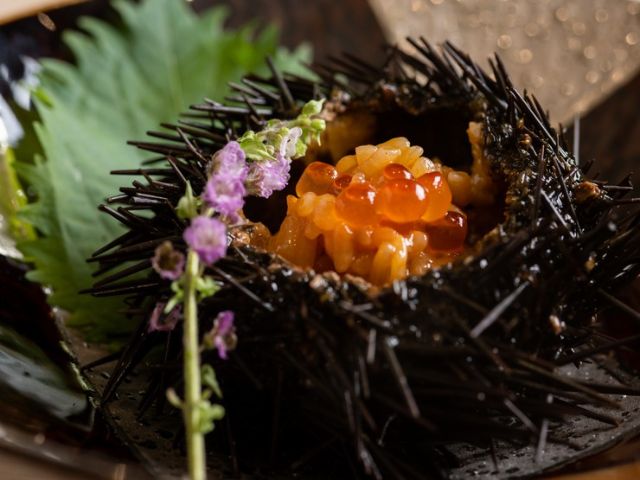 想在大人之城・銀座品味正宗和食的5家餐廳