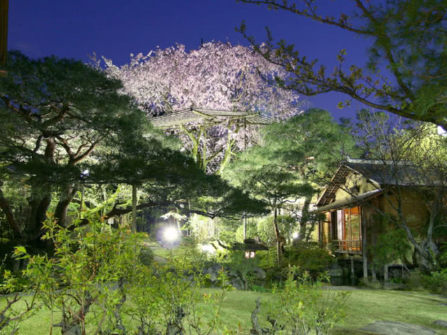 日本知名美食網站精選的17間京都美味餐廳