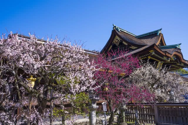 Embrace the Arrival of Spring With Plum Blossoms and a Seasonal Feast